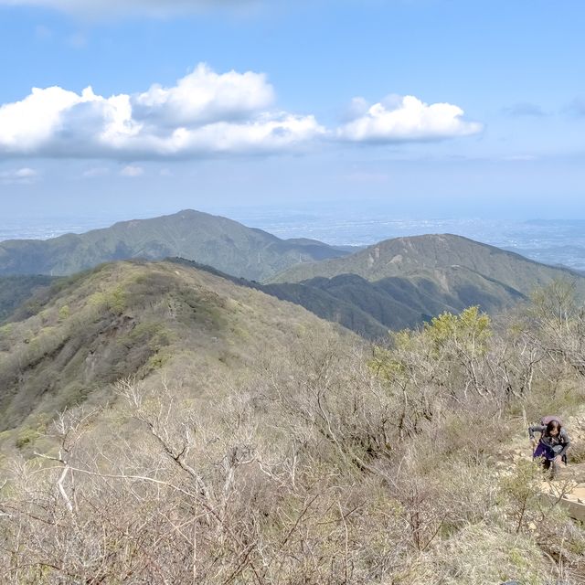山頂のオブジェと塔ノ岳と景色