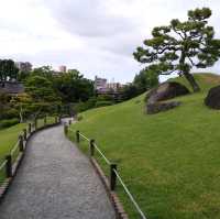 綠悠悠的公園🌳🌳🌳
