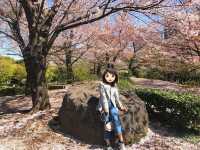 上野公園賞櫻去