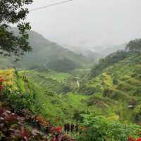 Banaue Rice Terraces 