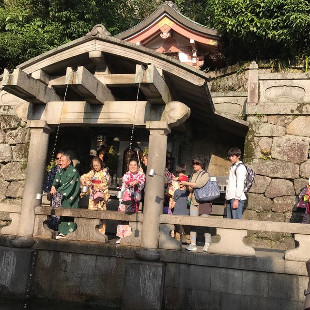 日本京都 ｜ 清水寺