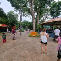 The Rainforest Kidzworld In Mandai Zoo