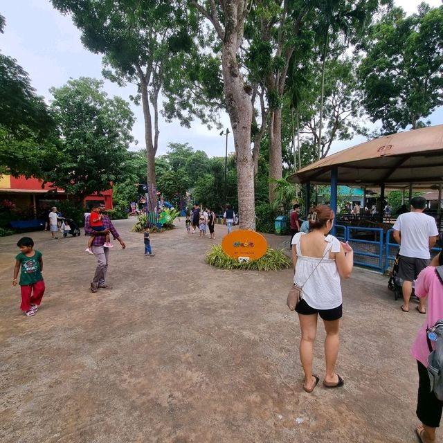 The Rainforest Kidzworld In Mandai Zoo