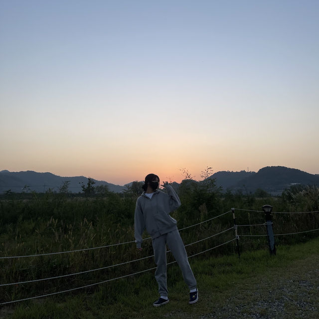 [경남/창원] 피크닉은 물론 캠핑도 가능한 노을 맛집 공원❣️