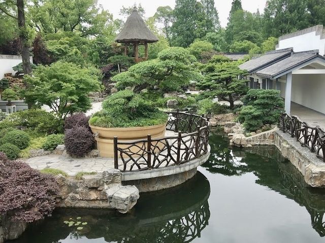 Shanghai Botanical Garden