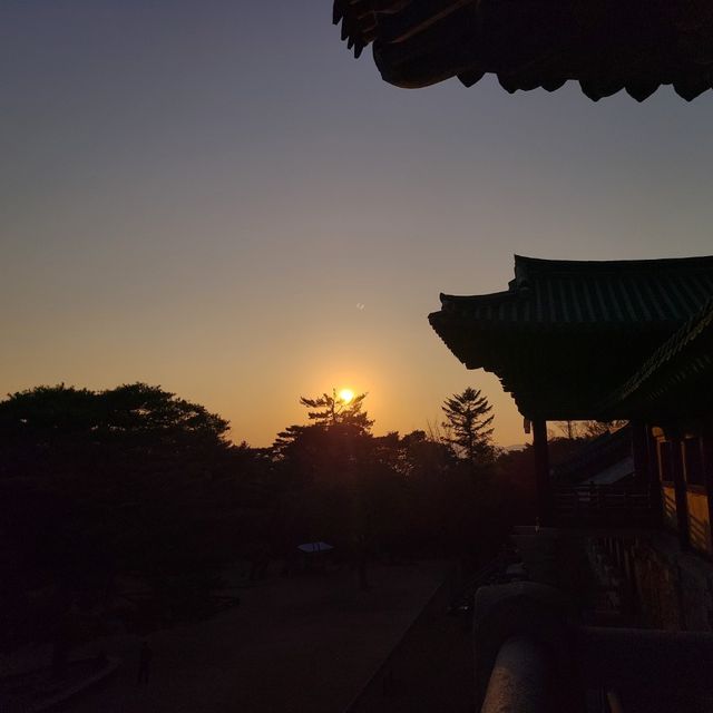 가을 단풍 명소 가을의 정취를 경주 불국사에서 느껴요🍁