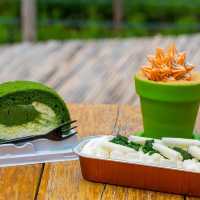 CHAN nature cafe