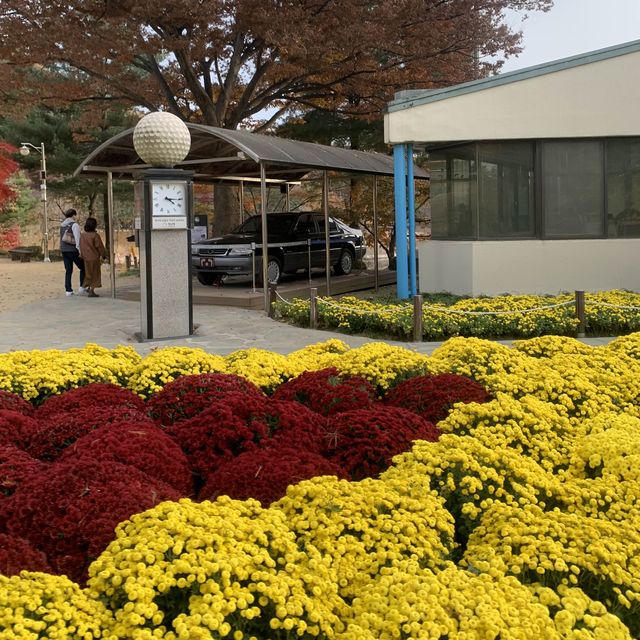 대통령 별장 청주 청남대에서 가을 꽃구경 대통령 별장 청주 청남대에서 가을 꽃구경