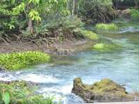 🌿💦ผ่อนกาย สบายใจ คลองน้ำใส ท่าปอม🌿💦