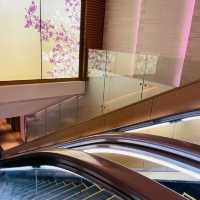 【成田空港】JAL国際線ラウンジ sakura loungeレポート