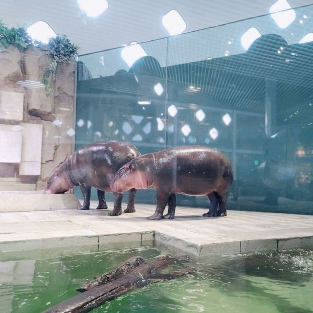 生きているミュージアムNIFREL　ピクニックカフェ