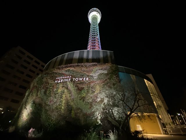 神奈川・横浜。かつては灯台としても活躍『横浜マリンタワー』