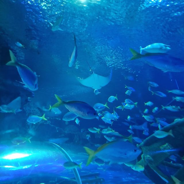 Aquaria KLCC