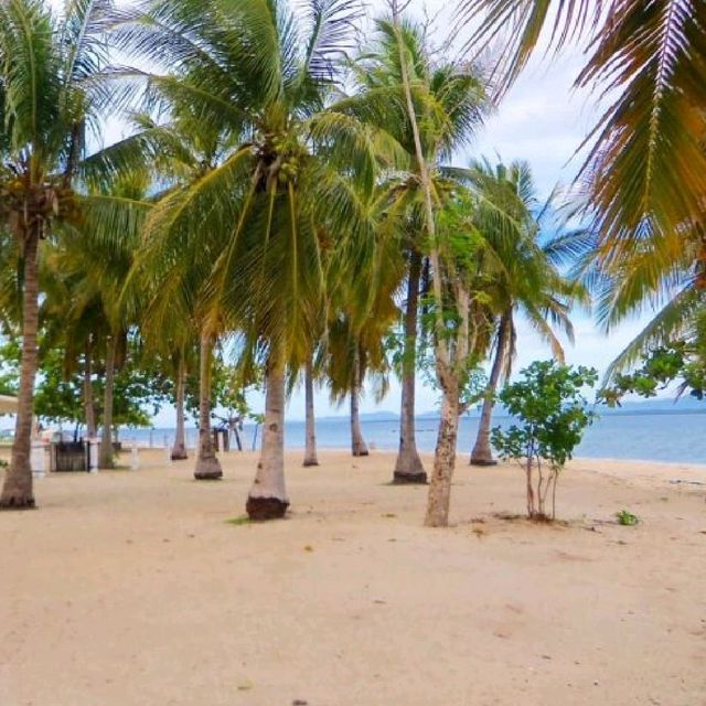 Cowrie Island, Palawan