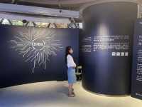 限量NFT 藝術品｜k11 musea