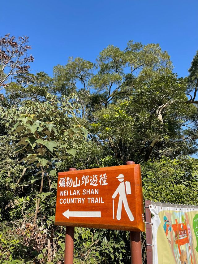 新手行山徑 新手行山徑
