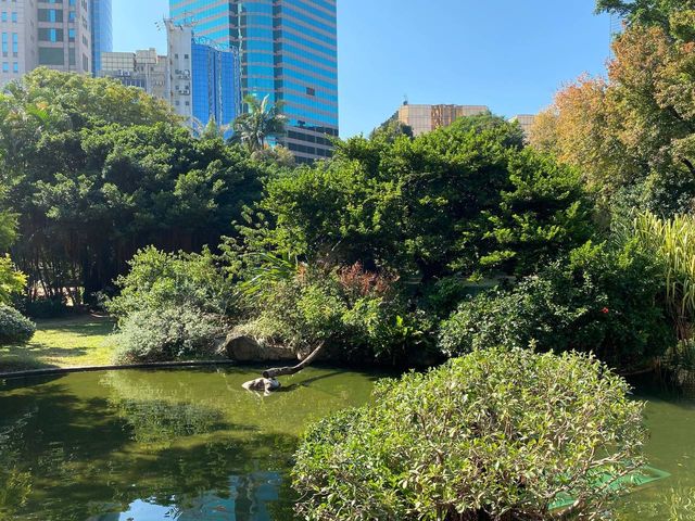 鳥湖@九龍公園