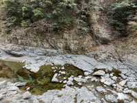 【徳島】ホテル祖谷温泉②外観