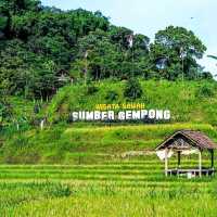 Beautiful nature tour