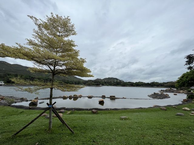 散步迪欣湖⛱