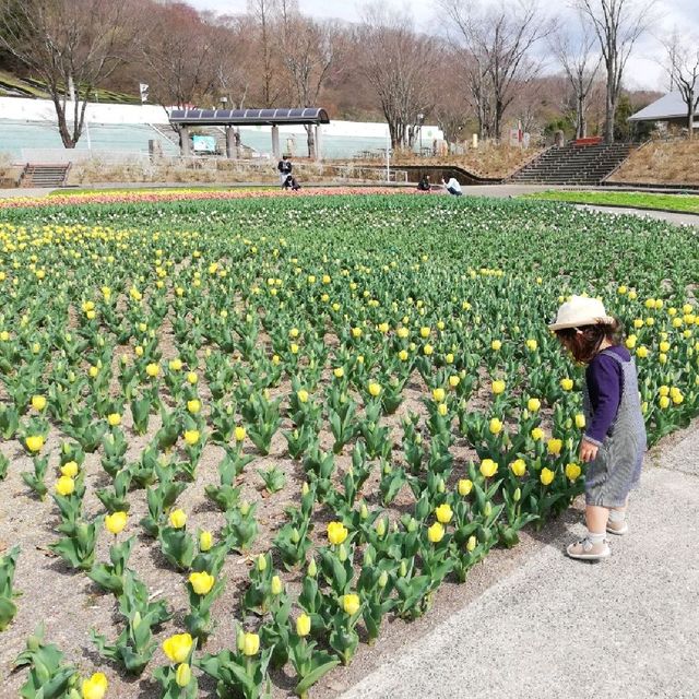 お花いっぱい