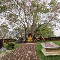 วัดต้นโพธิ์ศรีมหาโพธิ์