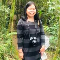 the Tam-awan Village