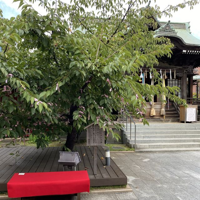 【世田谷】桜神宮
