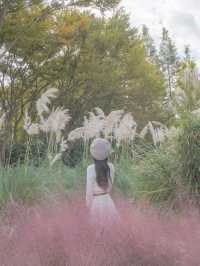 3m 팜파스 보러 태안 청산수목원 가기🌾🌾