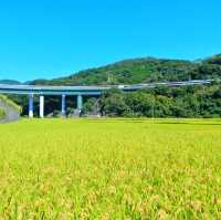 富士山を見ながら山登り！