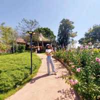 Faprathan Farm Cafe' @ Wangnamkeaw