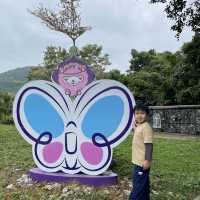 三角梅花展蝶豆花園之旅