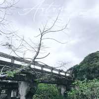 秋天阿根納，像電影一樣動人！