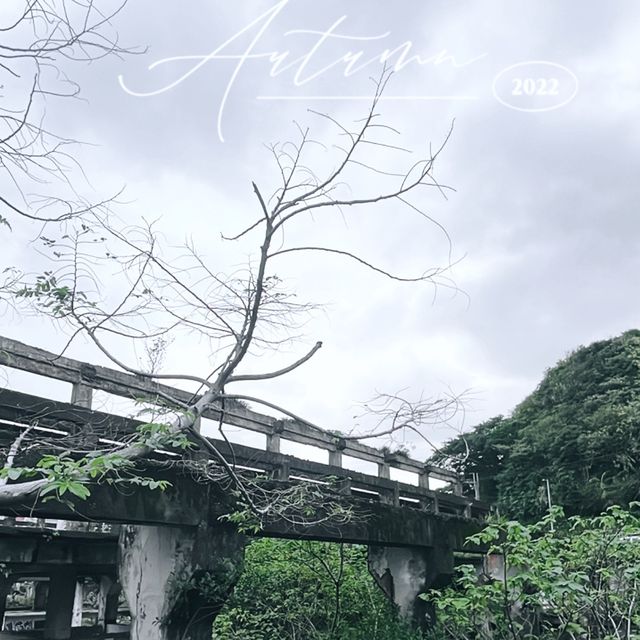 秋天阿根納，像電影一樣動人！