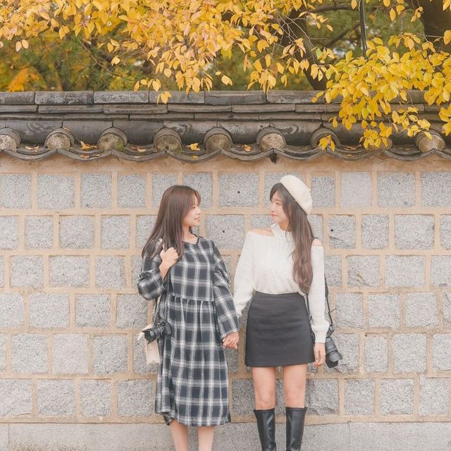 🍂가을을 느끼기 좋은 경주스러운 곳 [경주, 대릉원 돌담길]