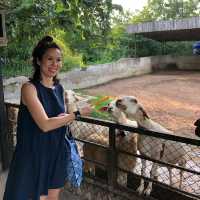 Khao Yai's Bonanza Exotic Zoo