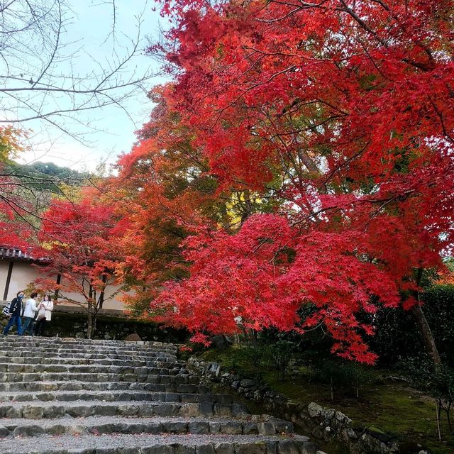 紅葉の名所【二尊院】✨
