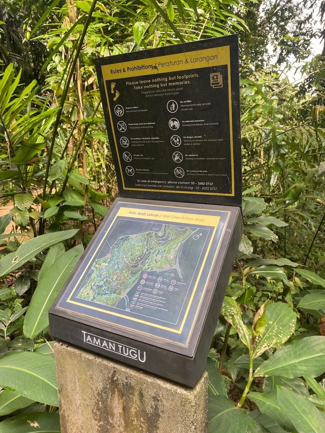 Taman Tugu Hike Trails 👣🍃