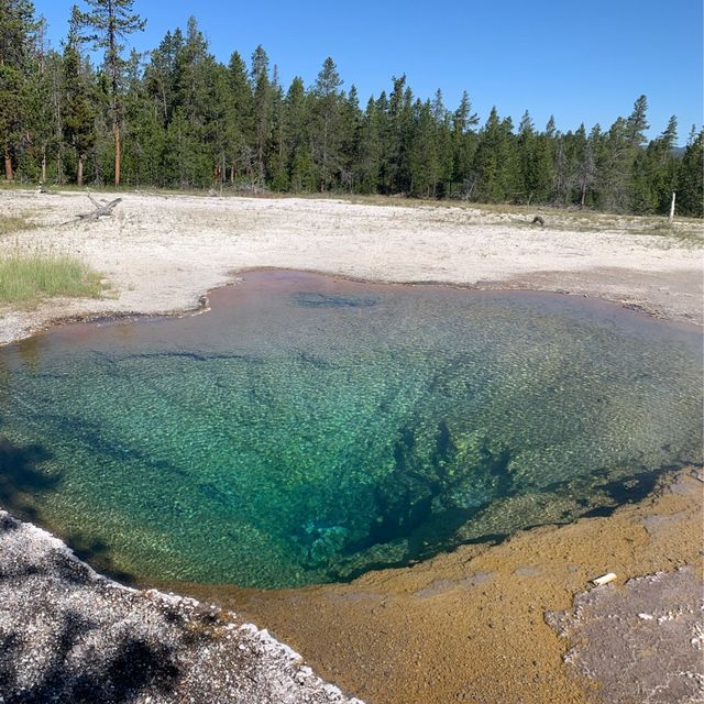 Yellowstone speaks for itself…just listen 💥