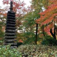 京都紅葉2022  宝厳院の素晴らしい紅葉