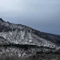 새해엔 한라산의 겨울 산행이죠🥹💙☃️