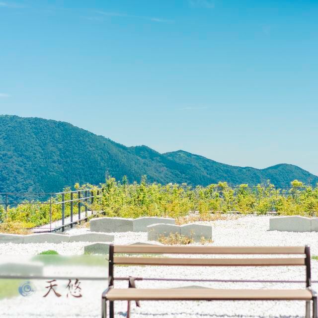 箱根で絶対泊まりたい五感で楽しむ旅館天悠
