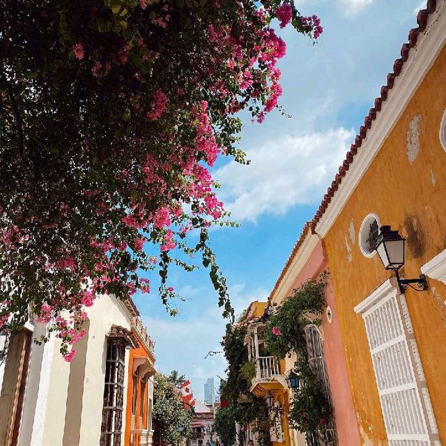 Moments at Cartagena de Indias, Colombia