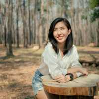สวนสนดงลาน - ขอนแก่น 🌲🌲