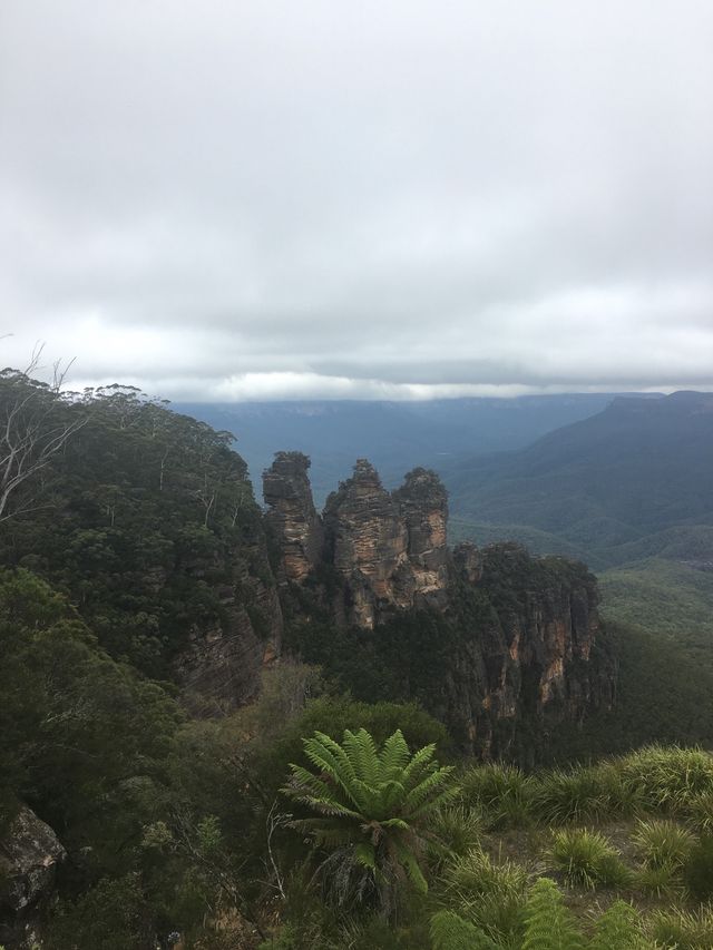澳洲藍山國家公園必拍景點｜世界聞名的三姐妹峰，