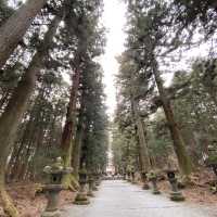 北口本宮冨士浅間神社の表参道
