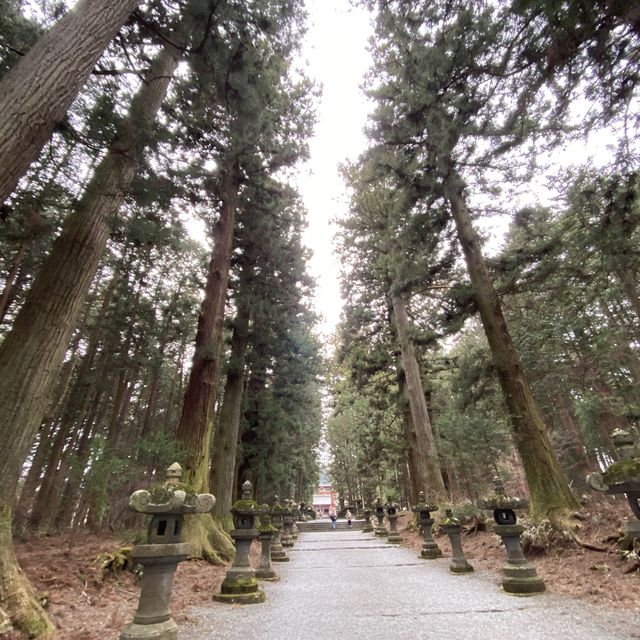 北口本宮冨士浅間神社の表参道