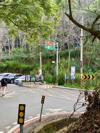 員林藤山步道｜彰化人的後花園，爬山健走的好地方！
