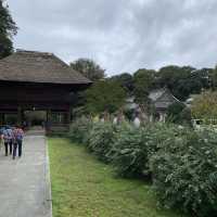 茂林寺