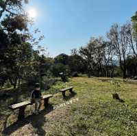 去公園曬太陽